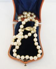 Salzwasser-Zuchtperlenkette mit 585/000 Gelbgoldschliesse A882